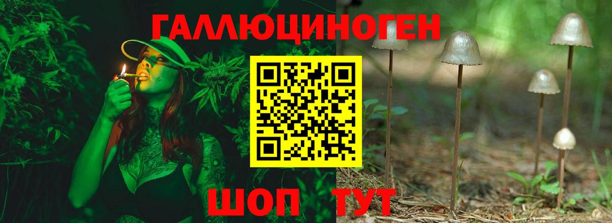 Галлюциногенные грибы MAGIC MUSHROOMS Строитель
