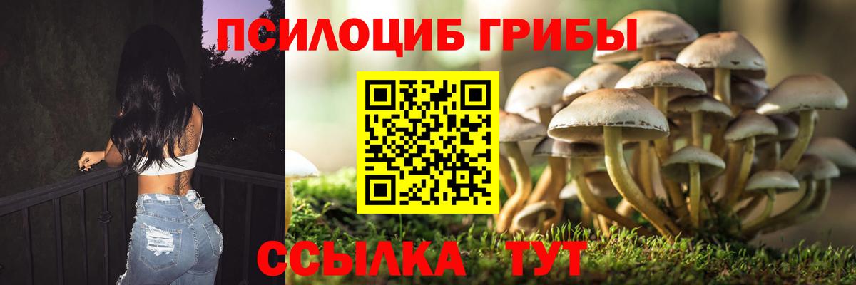 Псилоцибиновые грибы Cubensis  Вход с VPN  Строитель 