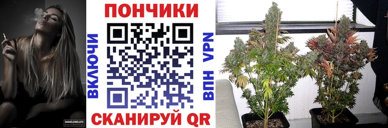 Бошки Шишки THC 21%  Строитель 